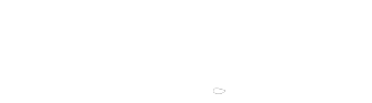 The Brannock Device Company